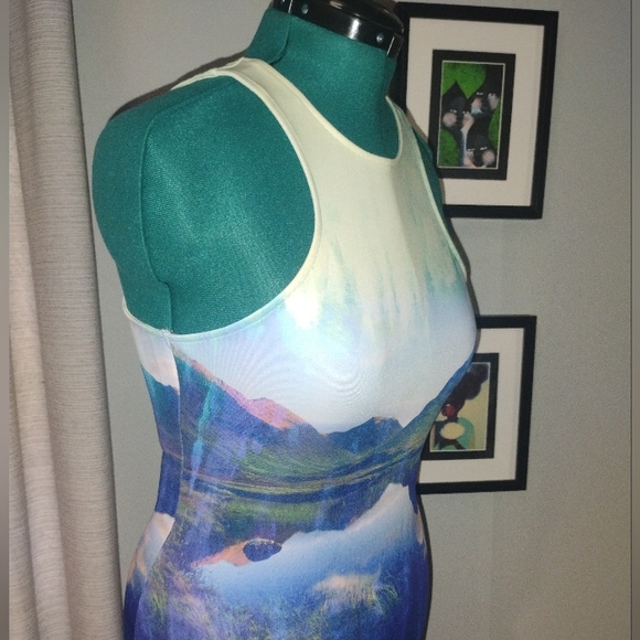 Beyonce as Mrs. Carter x H&M Blue Mountain Lake Tank Bodycon Dress Sz M - Picture 4 of 6